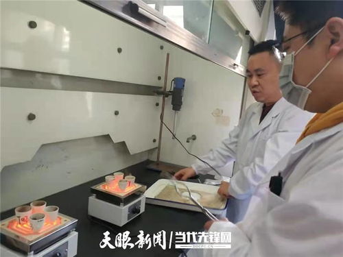 贵州绿茶科研突破 纳米技术荣登国家重要成果名录